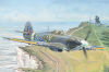 Hurricane Mk.IIC 1/48