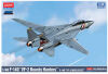USN F-14D 1/48