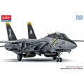 F-14B 