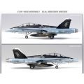 F/A-18D Hornet 