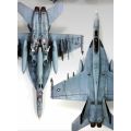 F/A-18E VFA-143 "Pukin Dogs"