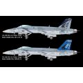 F/A-18E VFA-143 "Pukin Dogs"