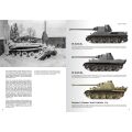 TANKS OF THE WEHRMACHT WWII EN