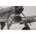 Air Intake Mesh for Typhoon (Has)