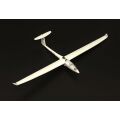 DG-1000 glider 1/144