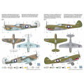 + P-40M Warhawk/Kittyhawk Mk.III