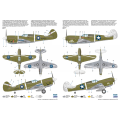+ P-40M Warhawk/Kittyhawk Mk.III