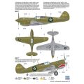 + P-40M Warhawk/Kittyhawk Mk.III