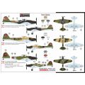 IL-2M 