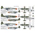P-51D-5 Mustang 