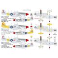 P-51D-5 Mustang 