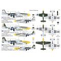 P-51D-5 Mustang 