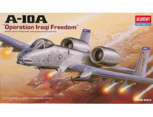 A-10A Iraq version