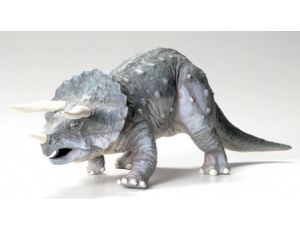 Triceratops Eurycephalus