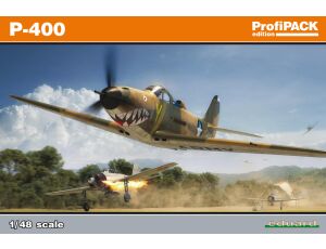 P-400 1/48