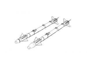 AIM-9X *2