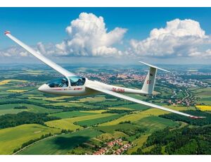 DG-1000 glider 1/144