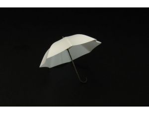 Umbrella/Deštník *2