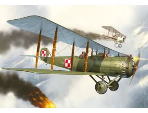 Salmson Sal.2A2 "In Polish Services"