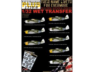 P-47D Razorback 58th over New Guinea