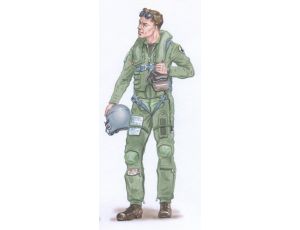 F-16 Pilot