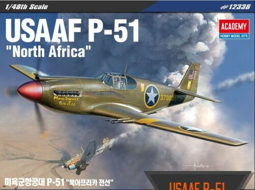 P-51 USAAF 