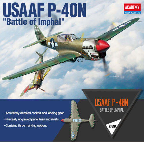 USAAF P-40N 