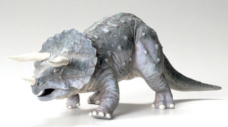 Triceratops Eurycephalus