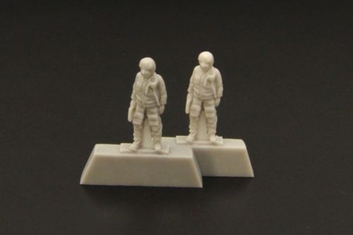 MiG-21 pilot