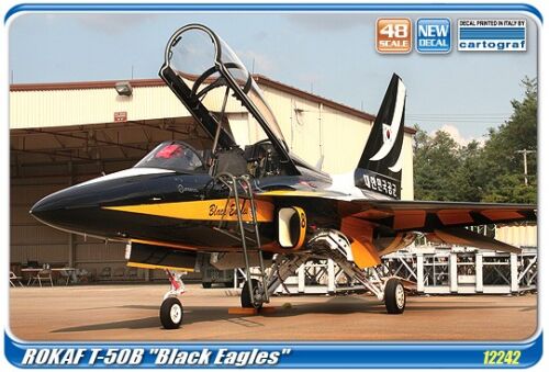 T-50B Black Eagles 1/48
