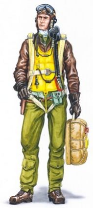 P-47 Pilot